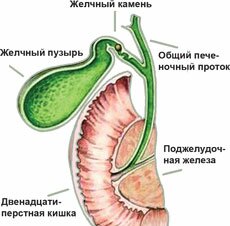 Лечение поджелудочной железы в Красноярске